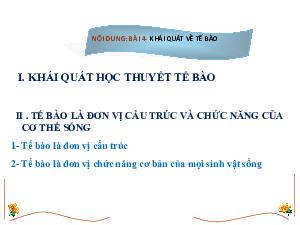 Bài 4: Khái quát về tế bào | Bài giảng PowerPoint môn Sinh học 10 | Cánh diều