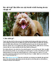 Súc vật là gì? Đặc điểm súc vật, thú dữ và bồi thường do súc vật gây ra?