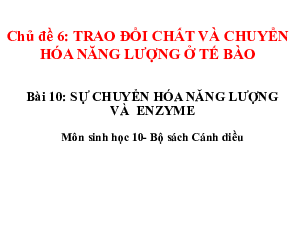 Bài 10: Ôn tập (2)| Bài giảng PowerPoint môn Sinh học 10 | Cánh diều