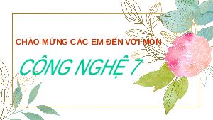 Giáo án điện tử Công nghệ 7 Bài 1 Chân trời sáng tạo: Nghề trồng trọt ở Việt Nam