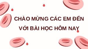 Giáo án điện tử Khoa học tự nhiên 8 Bài 31 Cánh diều: Thực hành về máu và hệ tuần hoàn