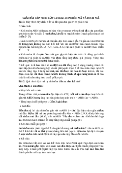 Giải bài tập SGK Sinh học lớp 12 bài 2: Phiên mã và dịch mã