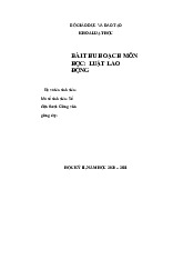 Bài thu hoạch Luật Lao động: Giao kết hợp đồng lao động | Đại học Hoa Sen