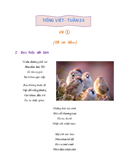 Bài tập cuối tuần lớp 3 môn Tiếng Việt Kết nối tri thức - Tuần 24 (Nâng cao)