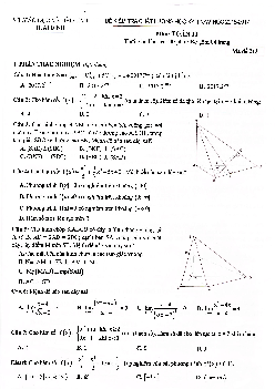 Đề thi HK2 Toán 11 năm học 2016 – 2017 sở GD và ĐT Thái Bình