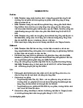 Chiến Lược Marketing cho Cửa Hàng Mỹ Phẩm Little Tomatoes | Nguyên Lý Marketing | Đại học Tôn Đức Thắng