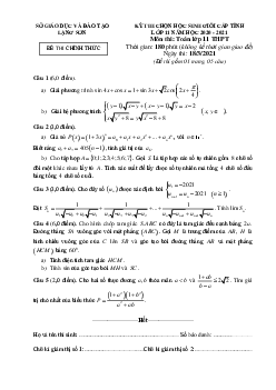 Đề thi học sinh giỏi cấp tỉnh Toán 11 năm 2020 – 2021 sở GD&ĐT Lạng Sơn