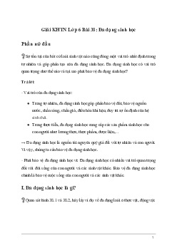Giải KHTN Lớp 6 Bài 38: Đa dạng sinh học | Kết nối tri thức