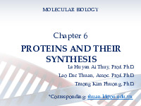 Bài giảng Chapter 6: Proteins and their synthesis môn Sinh học phân tử | Đại học Huế