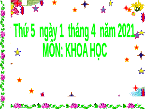 Giáo án điện tử Khoa học 5 Chân trời sáng tạo: Cơ quan sinh sản của thực vật có hoa