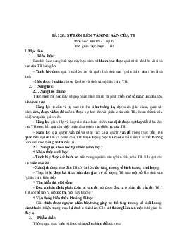 Giáo án Khoa học tự nhiên 6 sách Kết nối tri thức với cuộc sống Bài 20