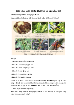 Giải Công nghệ 10 Bài 14: Bệnh hại cây trồng CD
