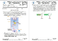 Đề thi cuối HKI học phần Sinh học tế bào năm 2024 - 2025 | Trường Đại học Khoa học tự nhiên, Đại học Quốc gia Thành phố Hồ Chí Minh