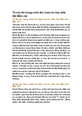 Tả con khỉ trong vườn thú chọn lọc hay nhất, đạt điểm cao