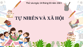 Giáo án điện tử TN&XH 3 Bài 23 Kết nối tri thức: Chăm sóc và bảo vệ cơ quan thần kinh