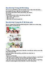 Giải SGK Đạo đức lớp 5 Cánh diều Bài 5: Em bảo vệ cái đúng, cái tốt