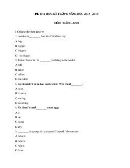 Đề thi học sinh giỏi lớp 6 môn Tiếng Anh năm học 2018 - 2019 số 7
