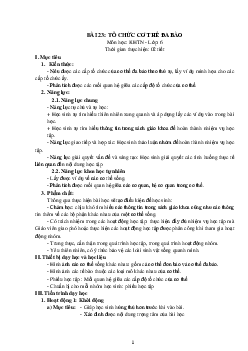 Giáo án Khoa học tự nhiên 6 sách Kết nối tri thức với cuộc sống Bài 23