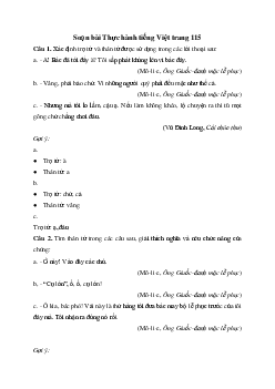 Soạn bài Thực hành tiếng Việt trang 115 - Chân trời sáng tạo