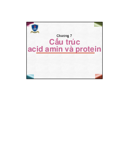 Bài giảng môn Hóa đại cương về "Cấu trúc Acid amin và protein"