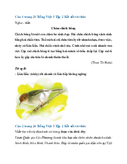 Giải SGK Tiếng Việt 3 trang 25, 26 Bài 5: Ngày hội rừng xanh - Phần viết | Kết nối tri thức