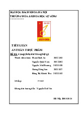 Tiểu luận An toàn thực phẩm: Campylobacter trong thịt gà | Môn An toàn thực phẩm -  Trường Đại học Bách Khoa Hà Nội
