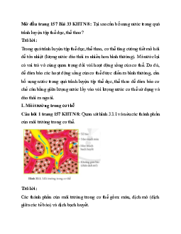 Giải Khoa học tự nhiên 8 bài 33: Môi trường trong cơ thể và hệ bài tiết ở người | Cánh diều