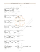 Đề thi Đại học môn Ngôn ngữ Trung | Trường Đại học Hà Nội