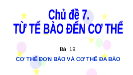 Giáo án điện tử Khoa học tự nhiên 6 bài 19 Chân trời sáng tạo : Cơ thể đơn bào và cơ thể đa bào