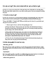 Cà vẹt xe là gì? Các cách nhận biết cà vẹt xe thật và giả