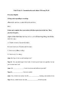Giải Tiếng Anh 11 Unit 5: Communication and culture/Clil