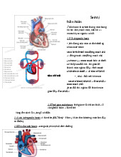 Sinh lý tuần hoàn môn Sinh lý | Trường Đại Học Y Dược Thái Bình