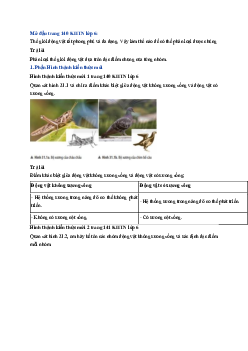 Giải sách giáo khoa môn Khoa học tự nhiên 6 Bài 31: Động vật | Chân trời sáng tạo