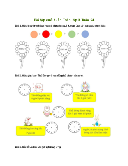 Bài tập cuối tuần lớp 3 môn Toán Cánh Diều - Tuần 24