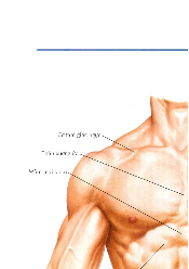 Atlat giải phẫu - Hóa Dược  | Trường đại học Quốc Tế Hồng Bàng