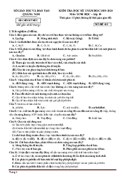 Đề thi HK1 môn Sinh 10 Quảng Nam 2019-2020 (có đáp án)