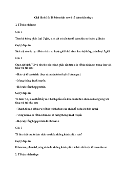 Giải Sinh học 10 Bài 7: Tế bào nhân sơ và tế bào nhân thực | Cánh diều