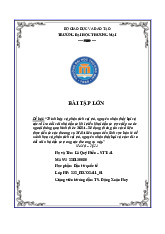 Phân Tích Rủi Ro FDI qua M&A trong Bán Lẻ | Bài Tập Lớn Môn đầu tư quốc tế