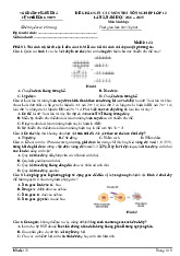Đề thi khảo sát tốt nghiệp THPT 2025 môn Sinh học lần 2 cụm trường THPT Thanh Hóa