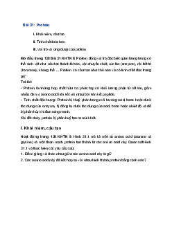 Giải Khoa học tự nhiên 9 Kết nối tri thức Bài 31: Protein