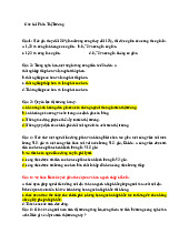 Ngân hàng trắc nghiệm câu hỏi phần thị trường