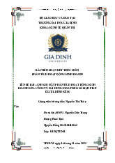 Tiểu luận Phân tích hoạt động kinh doanh của Công ty Hải Hưng Hoa | Môn Phân tích hoạt động kinh doanh - Đại học Gia Định