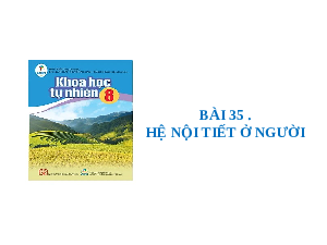 Giáo án điện tử Khoa học tự nhiên 8 Bài 35 Cánh diều: Hệ nội tiết ở người