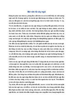 Tả cây ngô | Tập làm văn 4