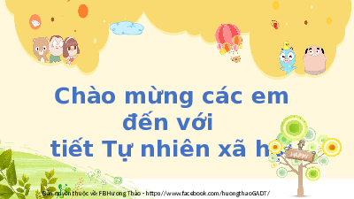 Bài 4: Giữ nhà ở sạch  | Bài giảng PowerPoint | Tự nhiên và xã hội 2 | Kết nối tri thức với cuộc sống (Học kì 1)