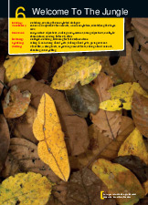 Close-up A1: Exploring Animal Vocabulary and Grammar Concepts môn Nói tiếng Anh 4  | Trường đại học Mở Hà Nội