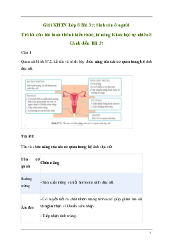 Giải KHTN 8 Bài 37: Sinh sản ở người | Cánh diều