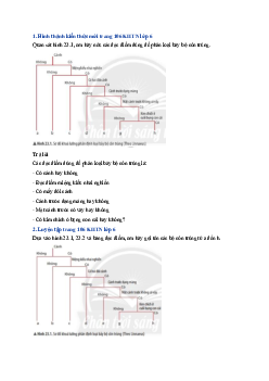 Giải sách giáo khoa môn Khoa học tự nhiên 6 Bài 23: Thực hành xây dựng khóa lưỡng phân | Chân trời sáng tạo