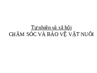 Giáo án điện tử Tự nhiên và xã hội 1 bài 19 Chân trời sáng tạo : Chăm sóc và bảo vệ vật nuôi