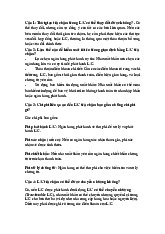 Câu hỏi về L/C trả chậm trong thanh toán quốc tế | Đại học Tây Đô